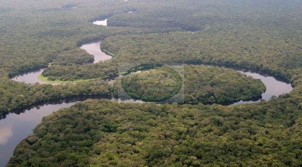 Salonga National Park – D.R.Congo