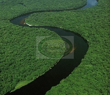 Congo River Expedition